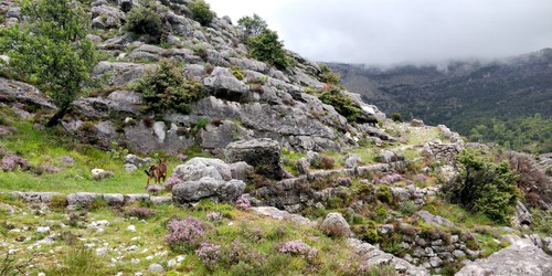 Ancienne Route Napoléon