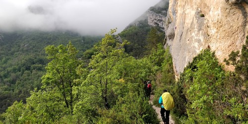 Point Sublime in the fog