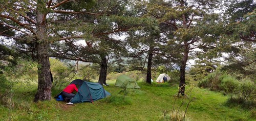 Found a campsite in a small forest