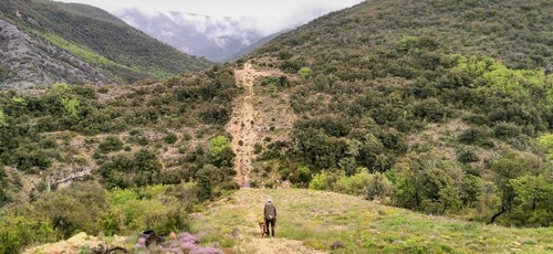 Valley walk with the dog