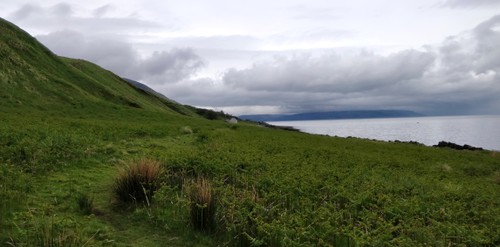 So green, and so close to the sea ♥️