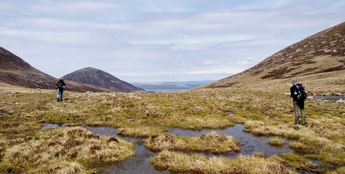 Boggy patches in the valley