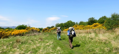 More easy grass walking