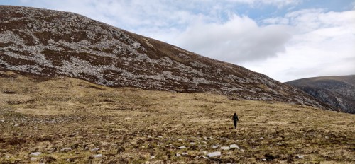 No path but typical Scottish mountain vegetation
