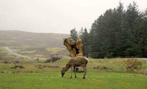 It's not uncommon to befriend some of the local wildlife at the campsite