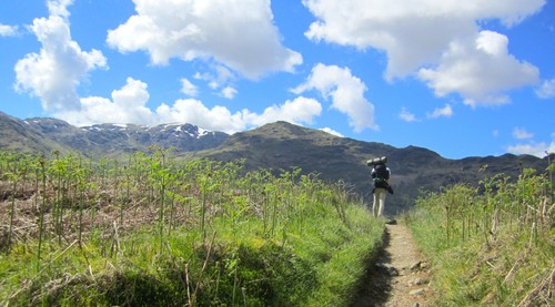 Ascending into the mountains after Loch Lomond