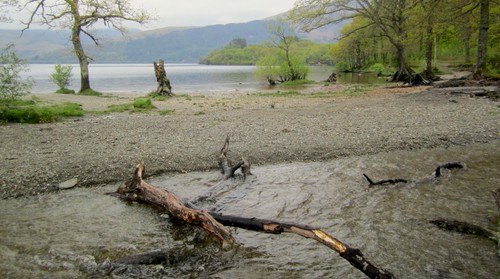 We started the morning hiking along Loch Lomond